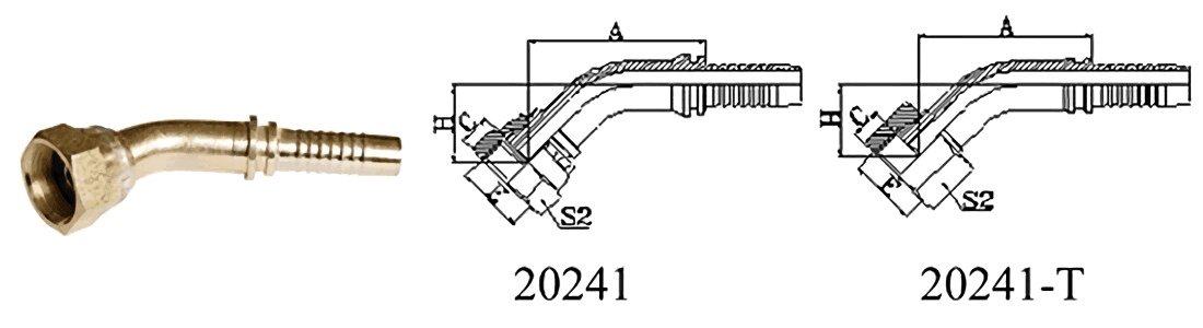 20241