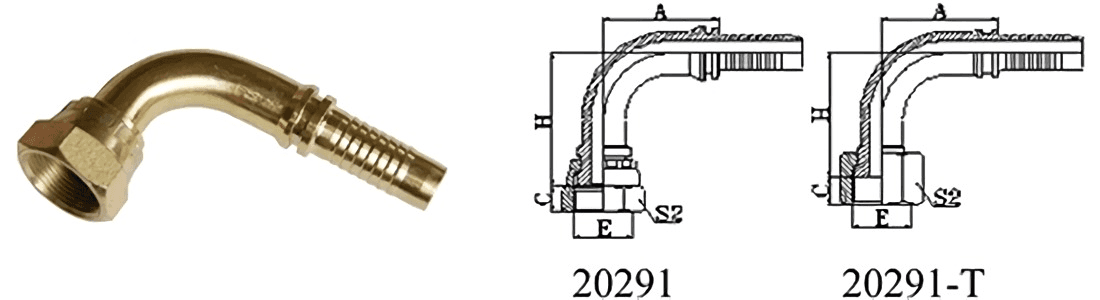 20291