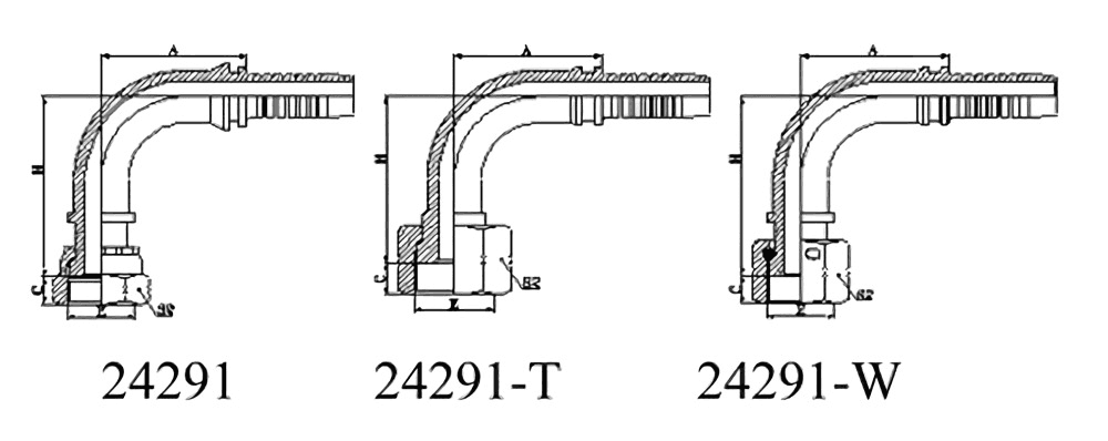 24291